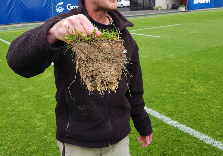 Roots & drought.jpg