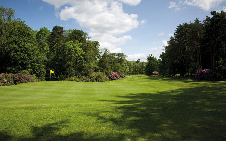 Rudding-Park-GC_green.jpg