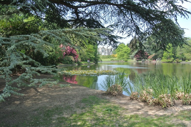 SheffieldPark-EarlySummer