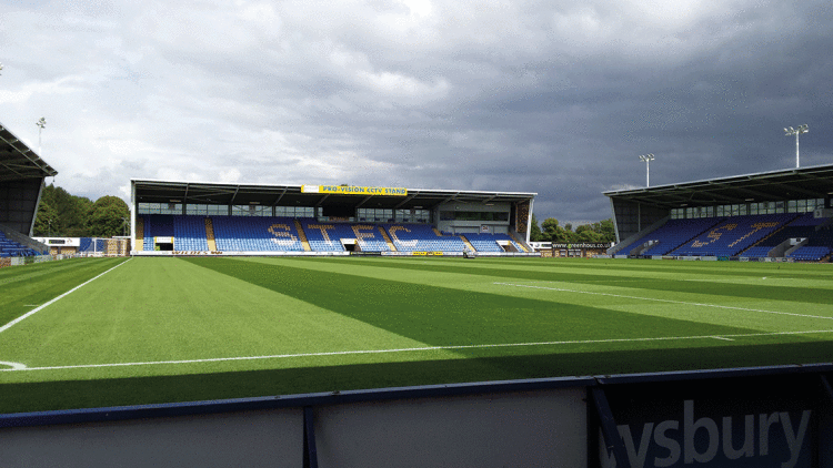 ShrewsburyTown PitchMain3