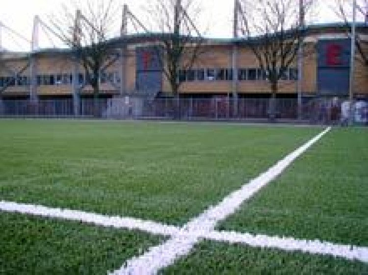 Man-made Turf System from SIS wins UEFA approval