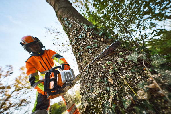 STIHL launches its most powerful battery-operated chainsaw for tree felling in noise-sensitive environments