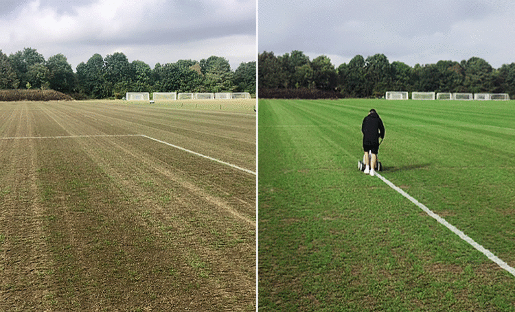 Stoneham-Lane-23-08-v-13-09.gif
