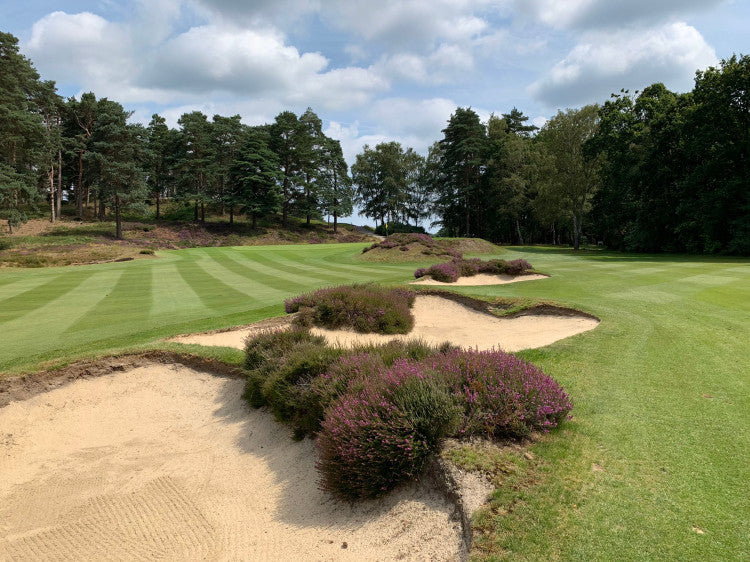 Sunningdale-Golf-Club_12th-Hole_no-rake.jpg