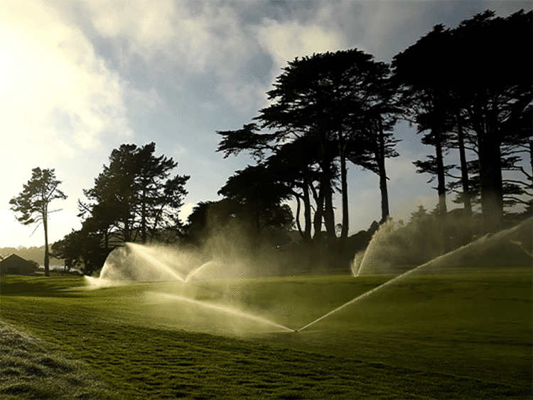 Sustainability.gif