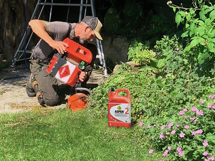 The-Arborist-Aspen-2.gif