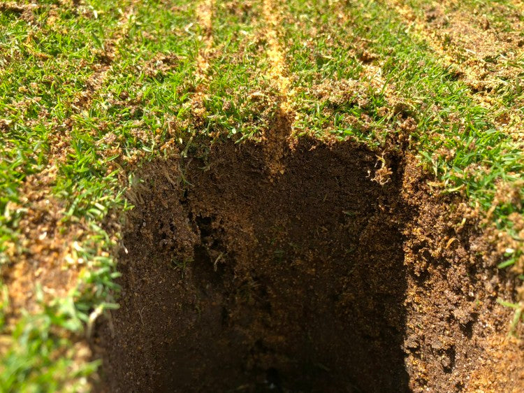 Thorndon Park GC.jpg