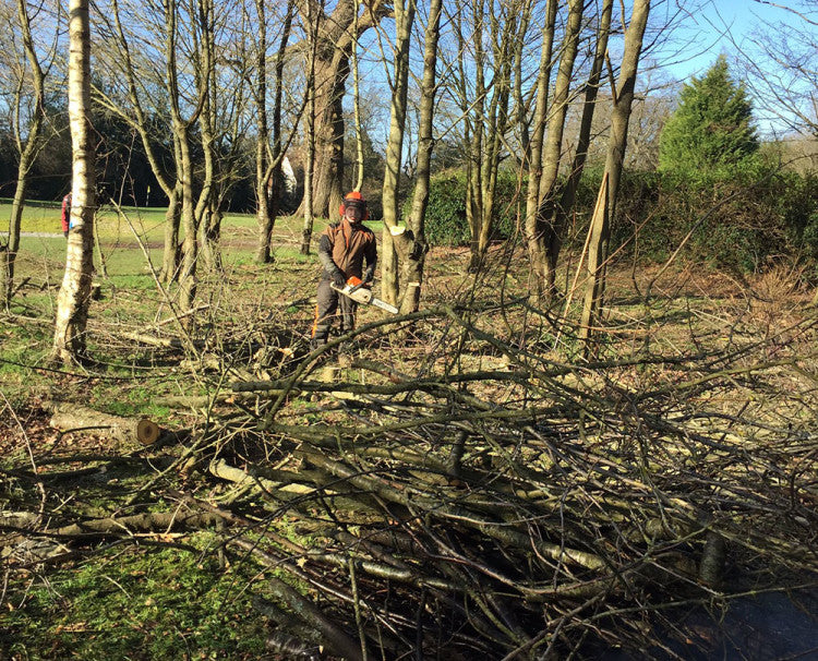 Tree-clearing-at-Chipstead-GC.jpg