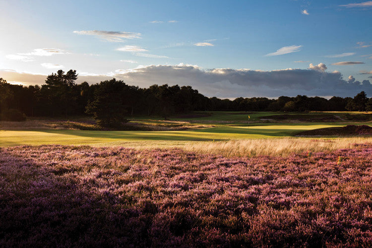 Walton-Heath-Golf-Club_Old-14th.jpg