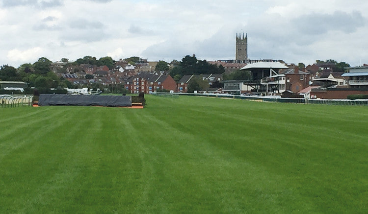 Warwick-Home-Straight