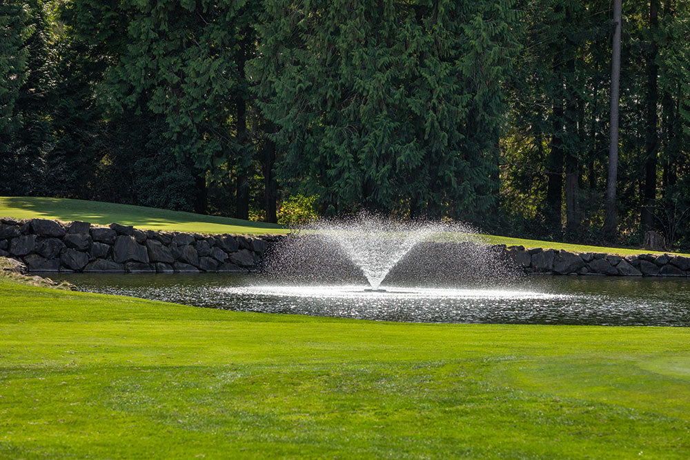 Water features: A cornerstone of conservation