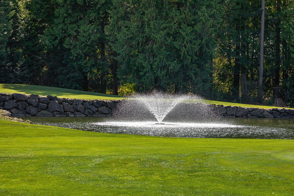 Water features: A cornerstone of conservation