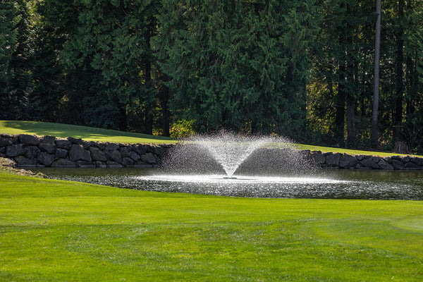 Water features: A cornerstone of conservation