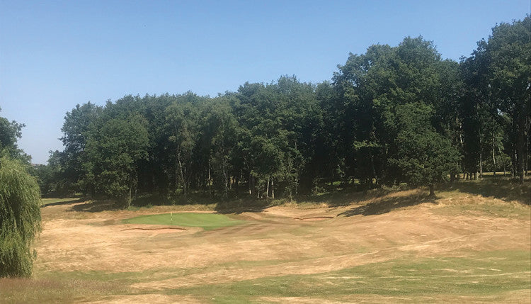 Willesley-Park-Golf-Club Trees