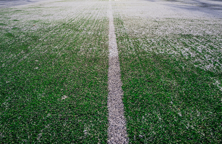 winter-football-pitch.gif