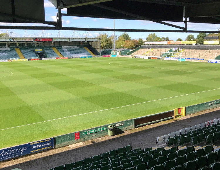 Yeovil Town Praise MM Seed 1.jpg