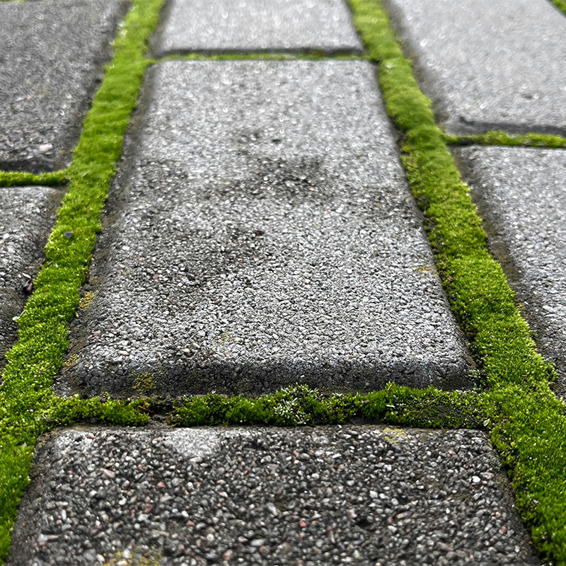 Hard Surface Moss Killer Pitchcare