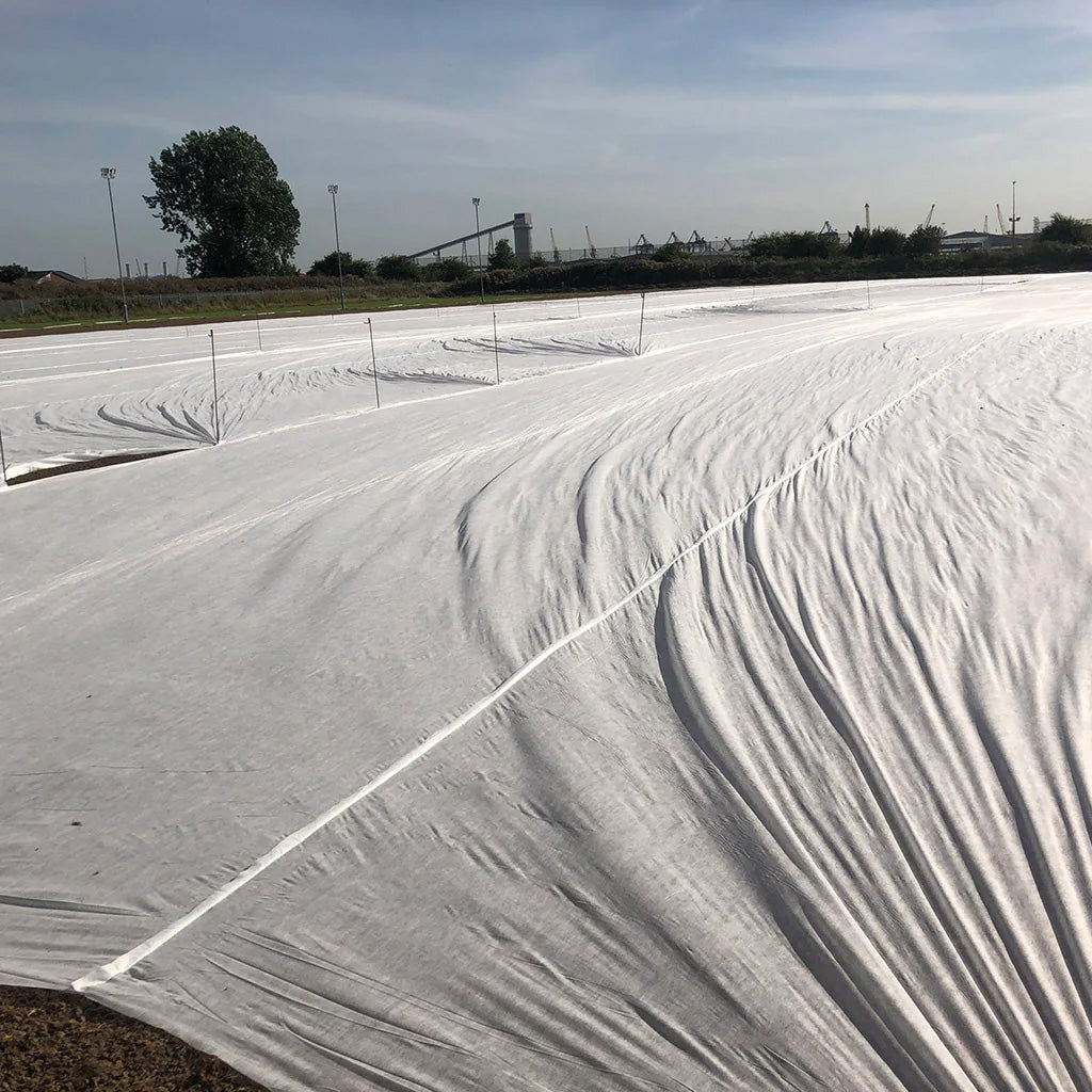 Germination Sheets