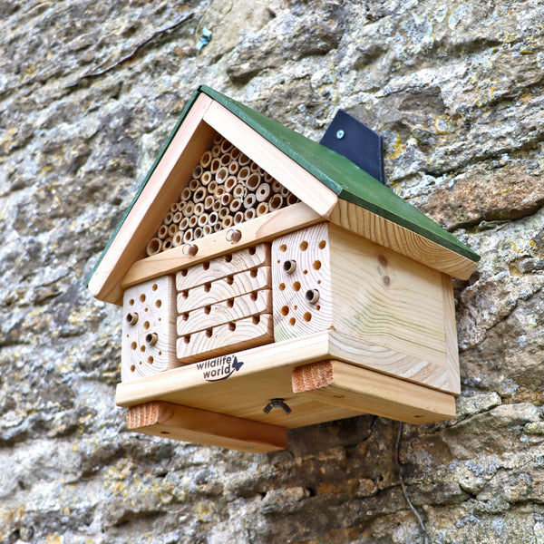 Wildlife World Citizen Science Bee Hotel