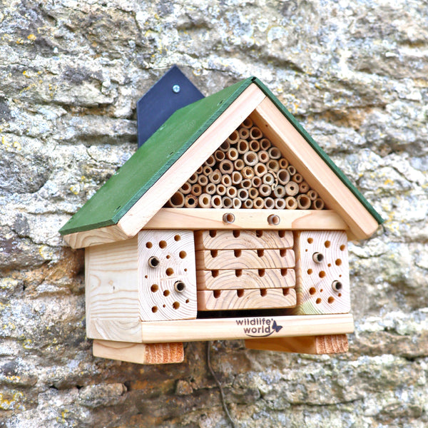 Wildlife World Citizen Science Bee Hotel