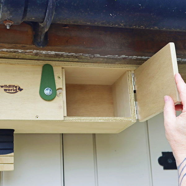 Wildlife World Swift Eaves Box