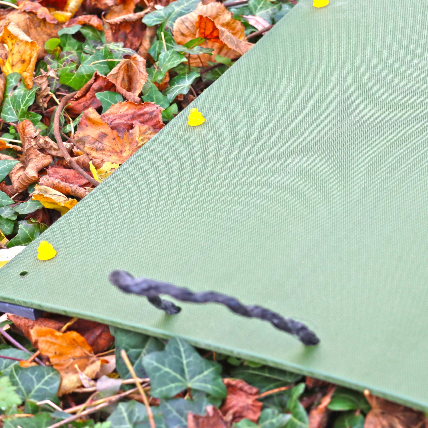 Wildlife World Refugia Board