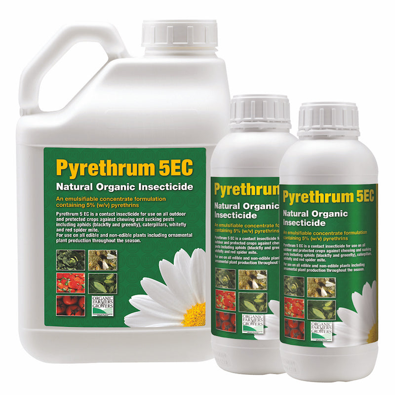 Pyrethrum 5EC Insecticide - Professional Use Only | Pitchcare