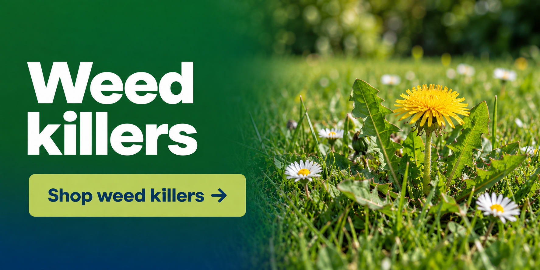 Weed Killers