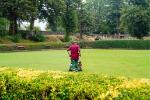 Bowling Green Renovation
