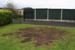 Chafer Grub & Leatherjacket Control