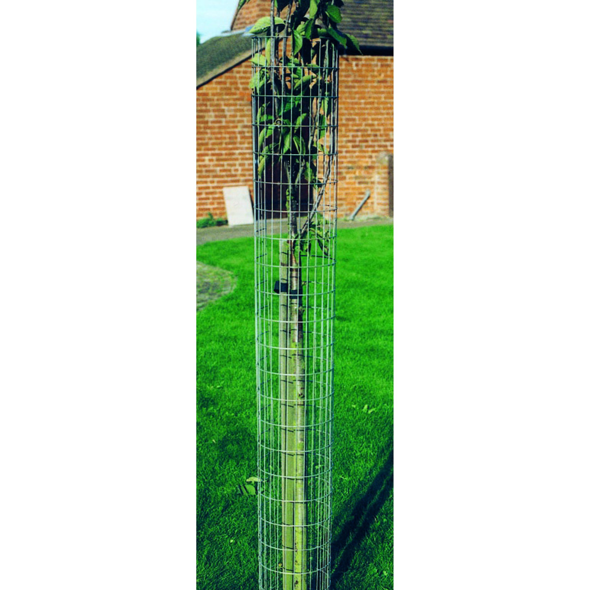 Welded Mesh Tree Guards | Pitchcare